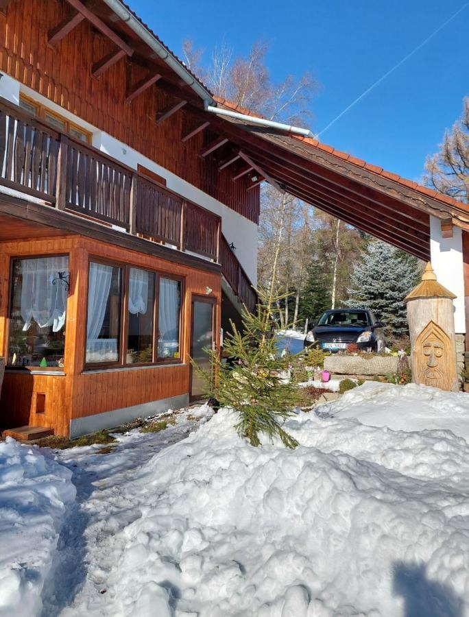 Ubytovani V Sumavskem Dome Nove Hute Exterior foto