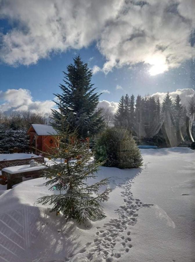 Ubytovani V Sumavskem Dome Nove Hute Exterior foto