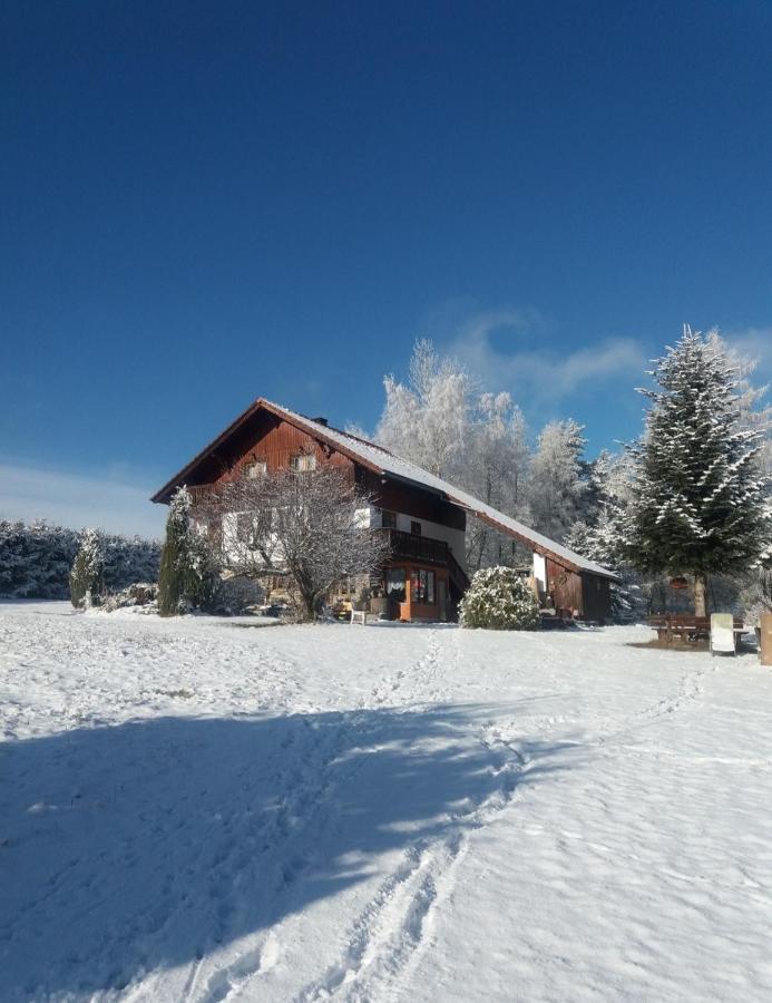 Ubytovani V Sumavskem Dome Nove Hute Exterior foto