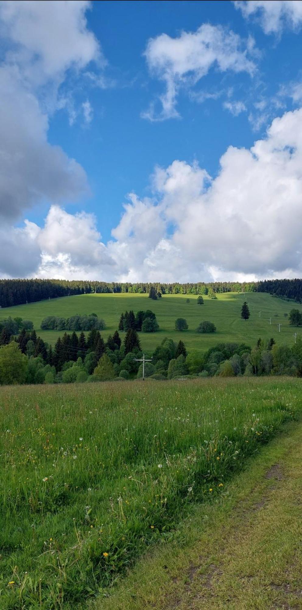 Ubytovani V Sumavskem Dome Nove Hute Exterior foto